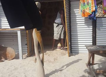 jamaica/john-crow-mountains/shop/irie-art