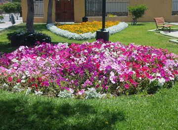 peru/tacna/shop/tacna-store