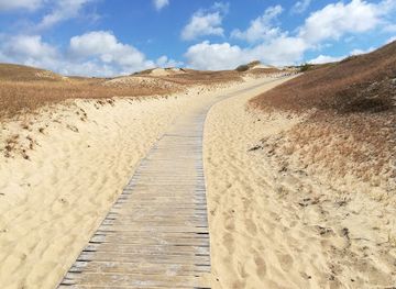 lithuania/nida-beach/shop/curonian-spit-national-park