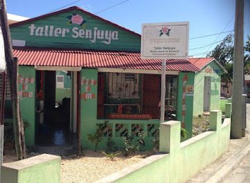 dominican-republic/bayahibe/shop/senjuya