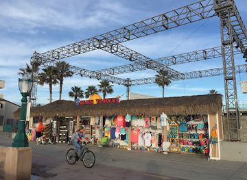 california/san-diego/mission-beach/shop/beach-trader