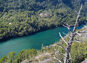 chile/los-lagos-region/shop/segundo-corral