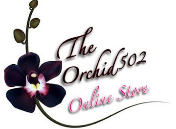 guatemala/puerto-barrios/shop/the-orchid-502