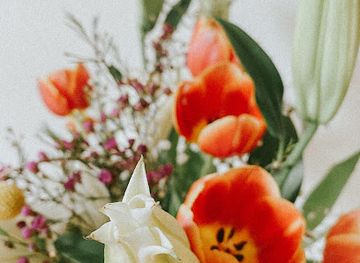 massachusetts/new-bedford/shop/raw-hand