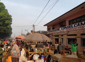 cameroon/foumban/shop/congelcam