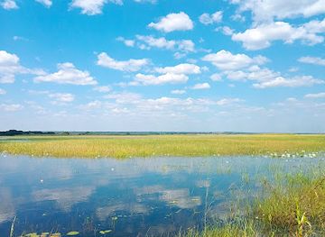 zambia/luapula-province/shop/western-province