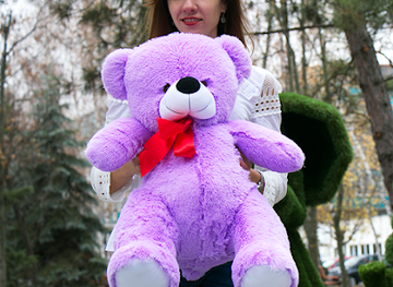 moldova/bessarabia/shop/ursuleti-de-plus-moldova-online-magazin