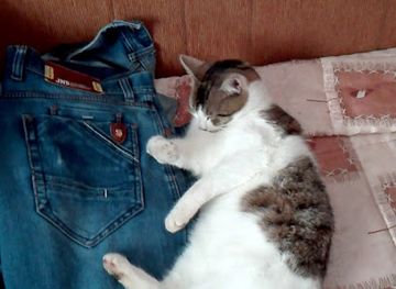 serbia/pcinja/shop/anita