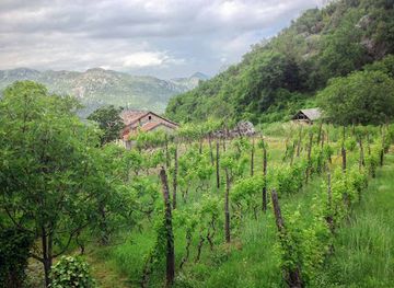 montenegro/zeta-river-valley/shop/meanderbug-com