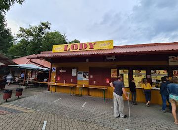poland/roztocze-national-park/shop/lody-tradycyjne-w-bachta