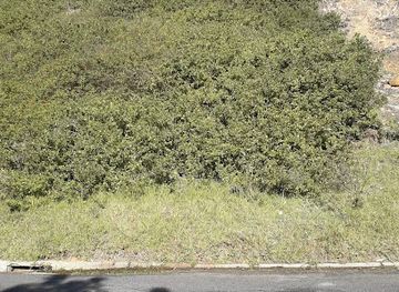 south-africa/cape-peninsula/shop/luvellynne-a-koopman-s-spot