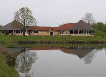 hungary/orseg-vendvidek/shop/to-panzio