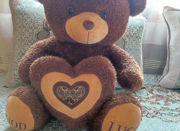 algeria/chelif-plain/shop/ch-family-shop