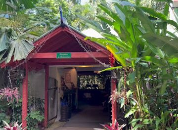 australia/daintree-rainforest/shop/on-the-turps