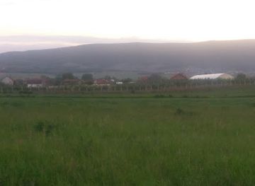 kosovo/has/shop/rrustemi-l-drenas