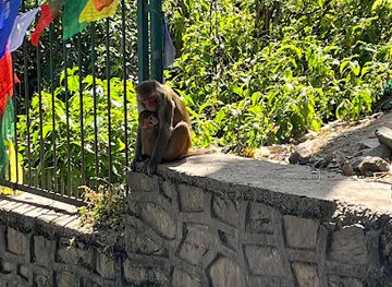 nepal/kathmandu/swayambhunath/shop/green-tara-buddhist-handicraft