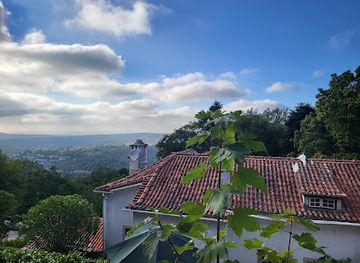 portugal/sintra-cascais-natural-park/shop/casa-do-fauno