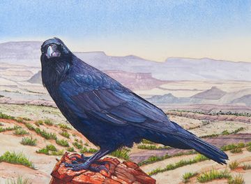 utah/torrey/shop/gallery-24