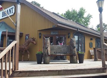 virginia/assateague-island/shop/the-brant