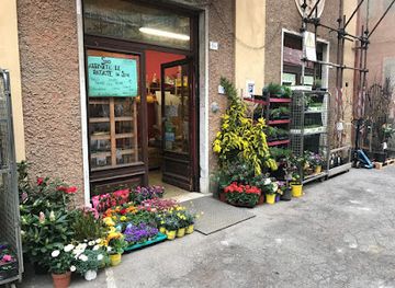 italy/italian-riviera/shop/natura