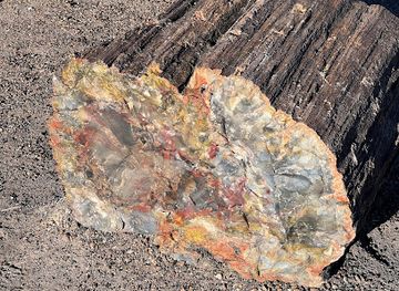arizona/petrified-forest-national-park/shop/crystal-forest