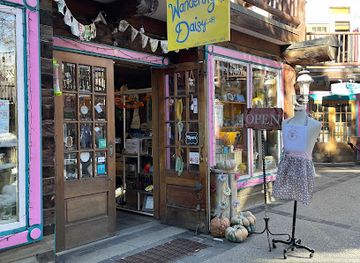 colorado/breckenridge-ski-resort/shop/wandering-daisy