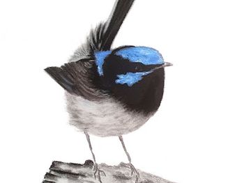 australia/kangaroo-island/shop/rose-cottage-farm