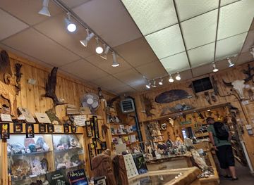 montana/yellowstone-national-park/shop/new-pioneer