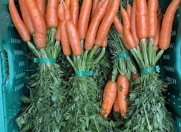 luxembourg/mullerthal-trail/shop/haff-trifolie