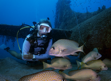 solomon-islands/shortland-islands/shop/dive-munda