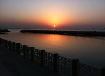 yemen/taiz/shop/taiz-yamen