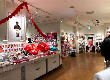 japan/tokyo/odaiba/shop/flying-tiger