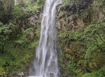colombia/cocora-valley/shop/cocora-waterfalls