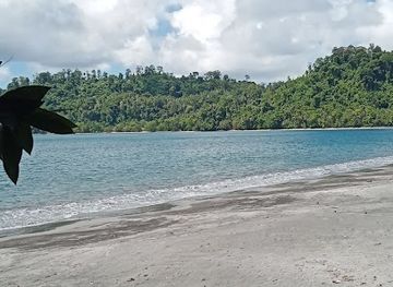 papua-new-guinea/arawa/shop/advance-signs-ltd