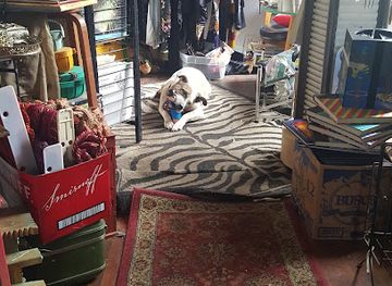 alabama/mobile/midtown-mobile/shop/american-pop-midtown