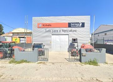 portugal/alentejo/shop/borrego-leonor-alentejo-evora