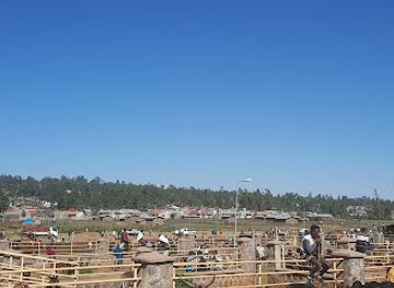 ethiopia/debre-markos/shop/wuseta-marketing-center