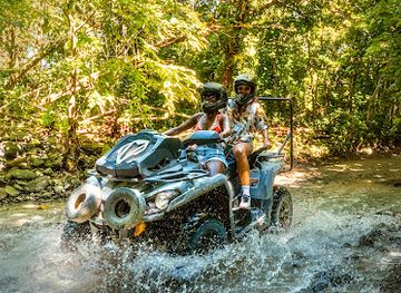 puerto-rico/luquillo-mountains/shop/carabali-rainforest-park