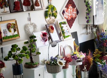 romania/maramures/shop/get-mossy