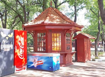 serbia/palic-lake/shop/tiki-print-style-pumpkin-palic
