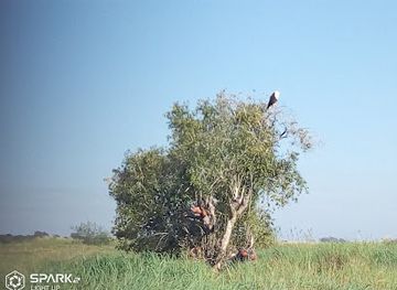 zambia/liuwa-plain/shop/ljcj