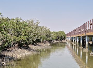 qatar/al-thakira-mangroves/shop/purple-island-parking
