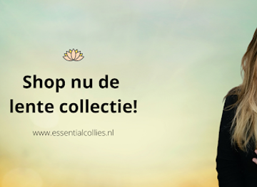 netherlands/giethoorn/shop/essential-collie-s