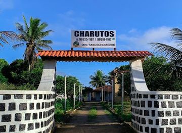 brazil/reconcavo/shop/charutos-don-francisco