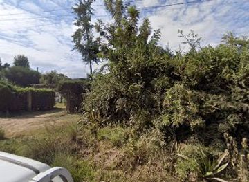 kenya/mount-kenya/shop/kirimis-shop