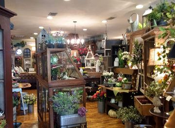 virginia/george-washington-and-jefferson-national-forests/shop/main-street-primitives