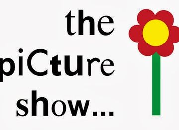 indiana/elkhart/shop/the-picture-show-gift-shop