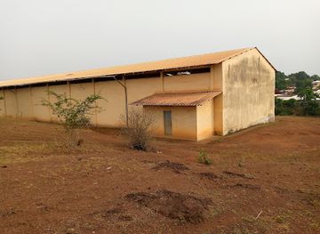 cameroon/mbam-djerem-national-park/shop/office-cerealier-ngaoundal