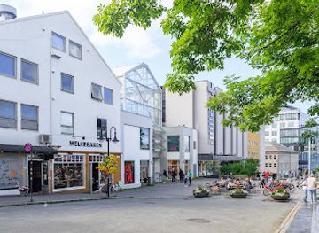 norway/nordland/shop/koch-shopping