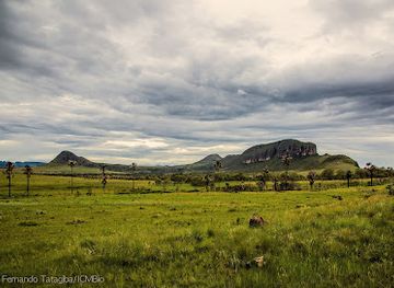 brazil/chapada-dos-veadeiros-national-park/shop/parque-nacional-da-chapada-dos-veadeiros